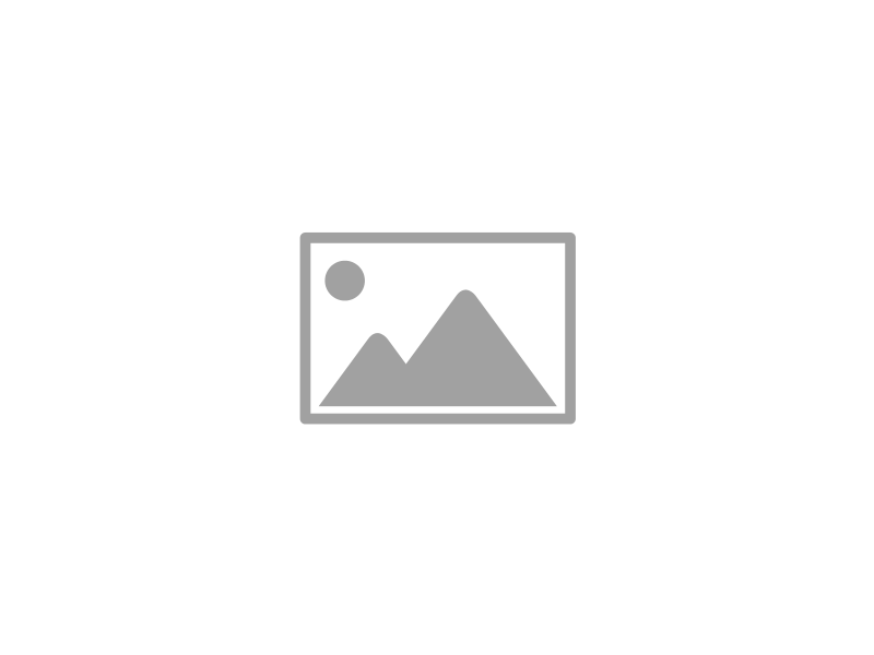 10. Split Squat (Side View)